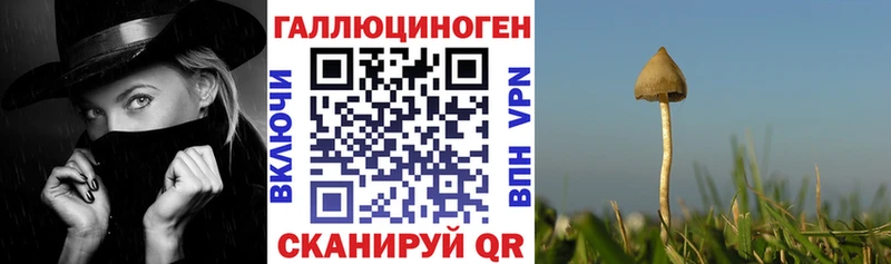 это наркотические препараты  Каменск-Шахтинский  Галлюциногенные грибы GOLDEN TEACHER  ОМГ ОМГ вход 